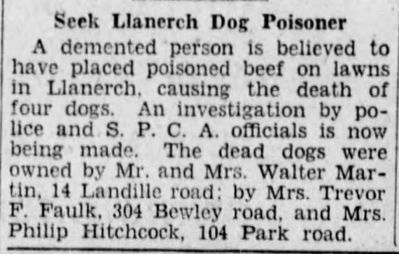 Dogs poisoned